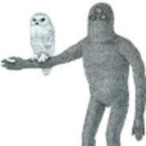 Meet your Posher, Adrienne